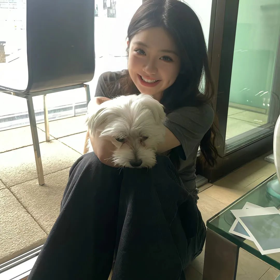 阳神之太上忘情